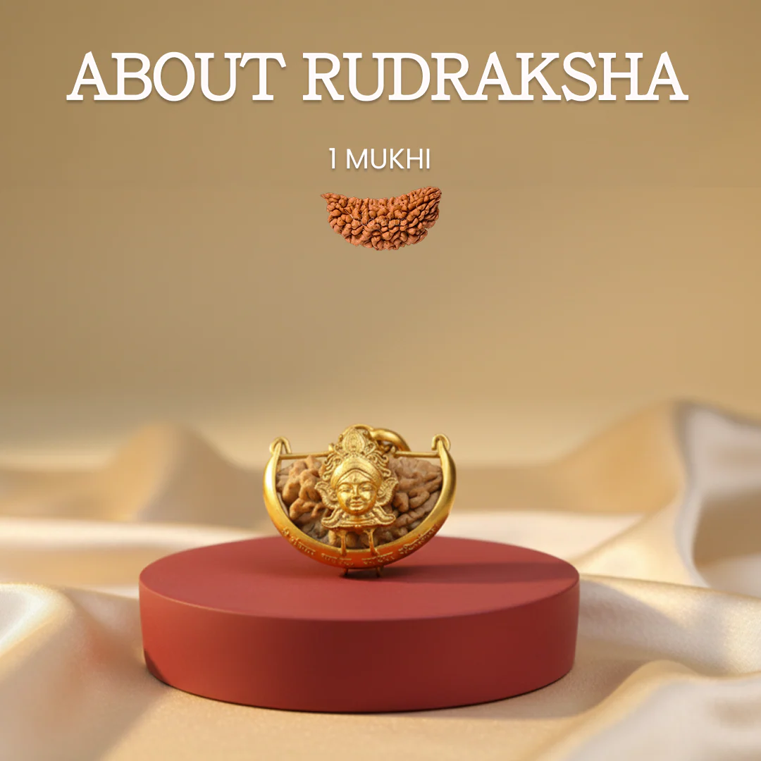 Siddh 1 Mukhi Rudraksha Pendant with Mantra - Image 4