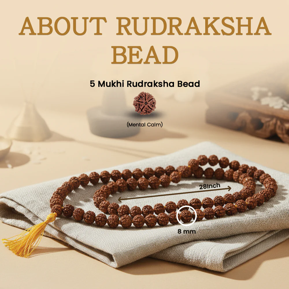 5 Mukhi Rudraksha Mala - 108 Beads, 8mm - Image 3