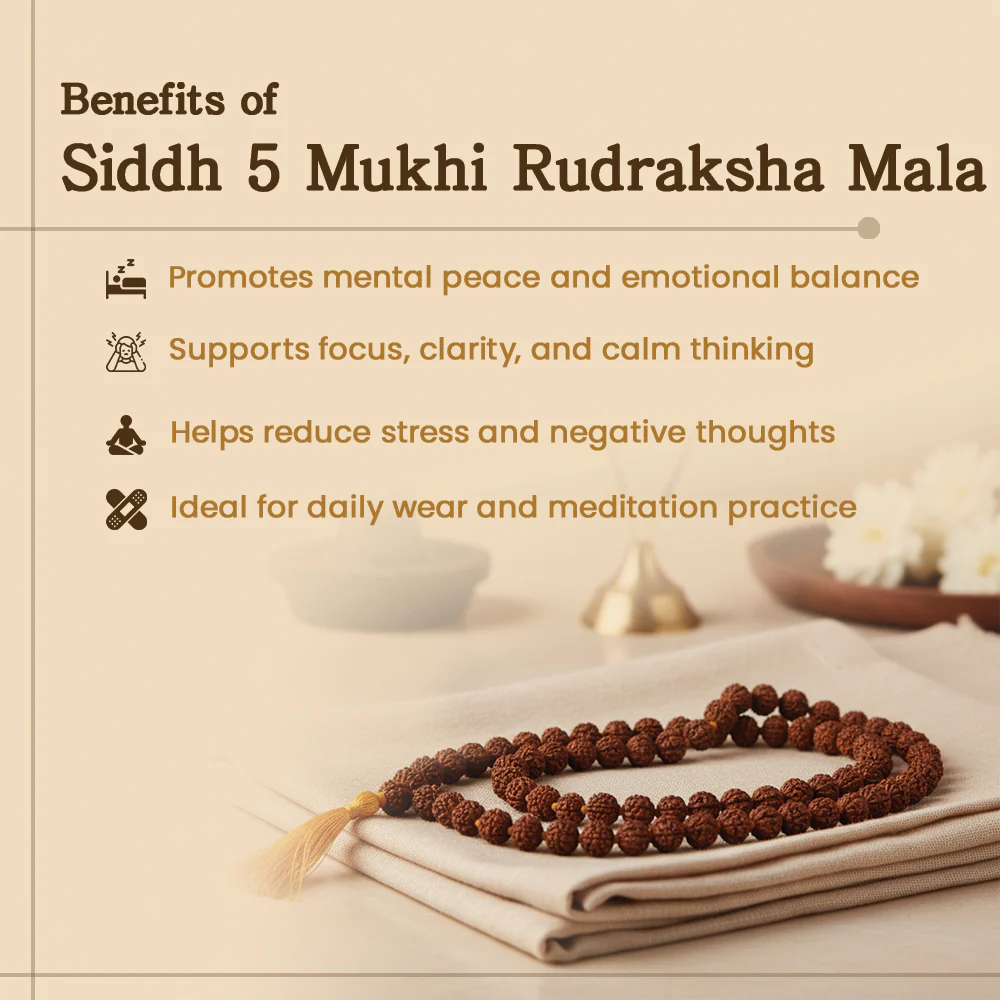 5 Mukhi Rudraksha Mala - 108 Beads, 8mm - Image 4