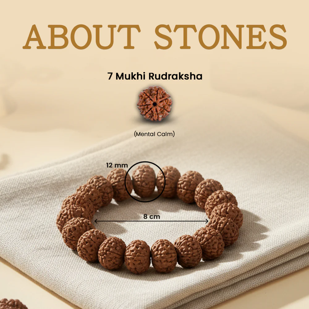 7 Mukhi Rudraksha Bracelet - Image 4