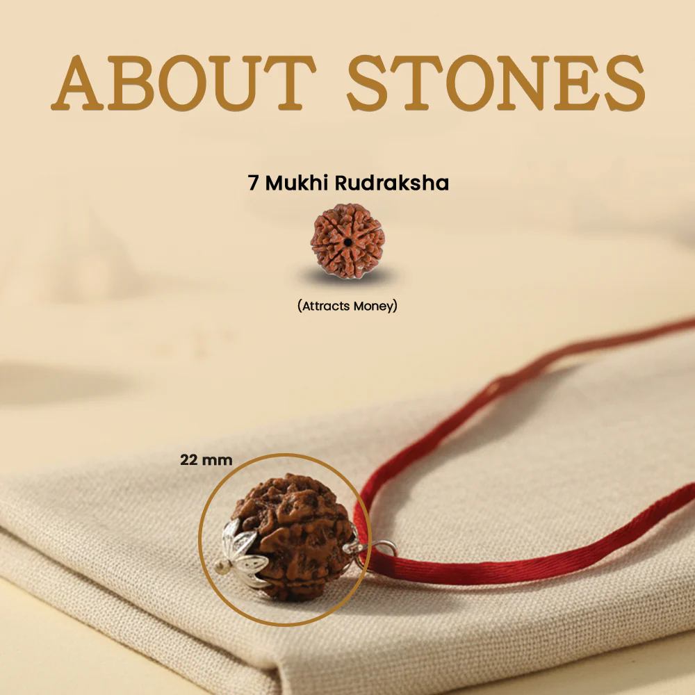 7 Mukhi Rudraksha Pendant - Image 3