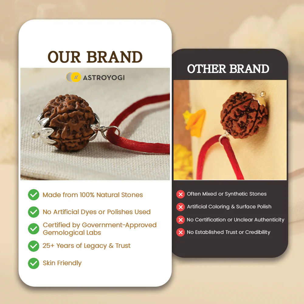7 Mukhi Rudraksha Pendant - Image 5