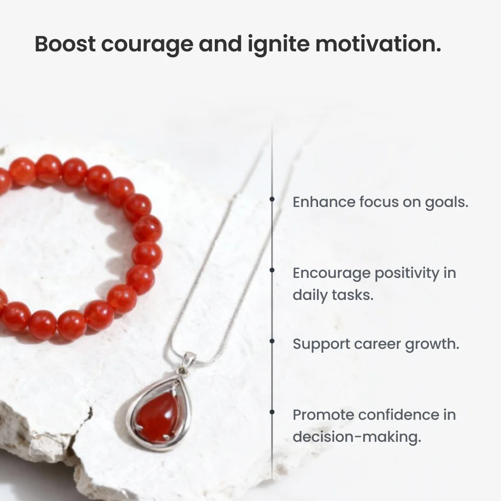 Aries Combo - Image 3