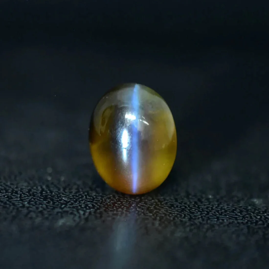 Cat's Eye (Kanak Khet) - Image 3
