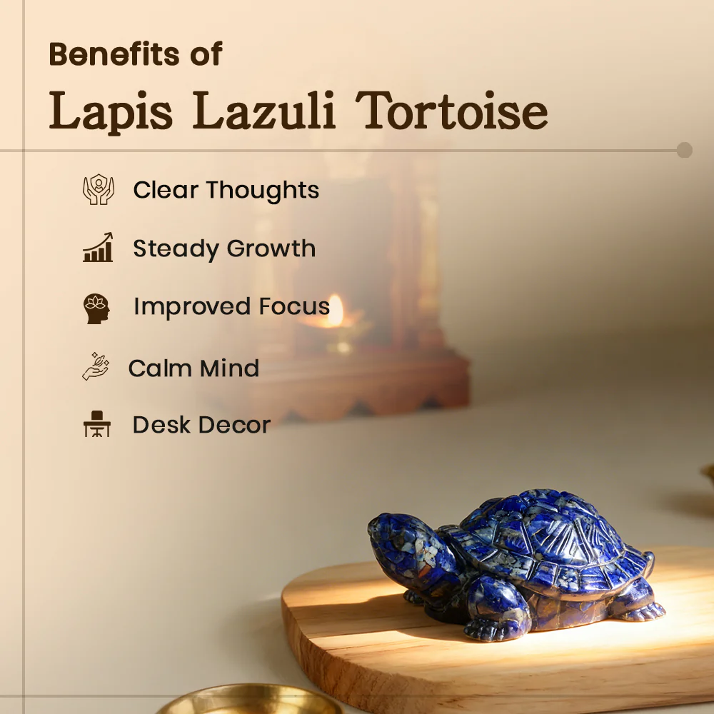 Lapis Lazuli Tortoise - Image 2