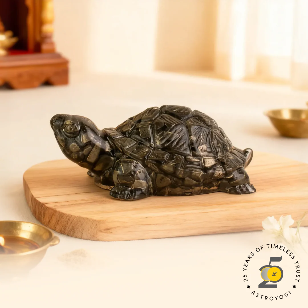 Pyrite Tortoise (Kachhua) for Money, Protection & Vastu
