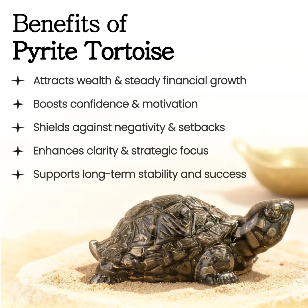 Pyrite Tortoise (Kachhua) for Money, Protection & Vastu - Image 2
