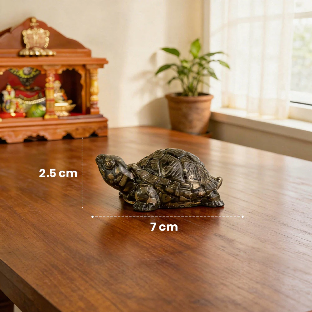Pyrite Tortoise (Kachhua) for Money, Protection & Vastu - Image 7