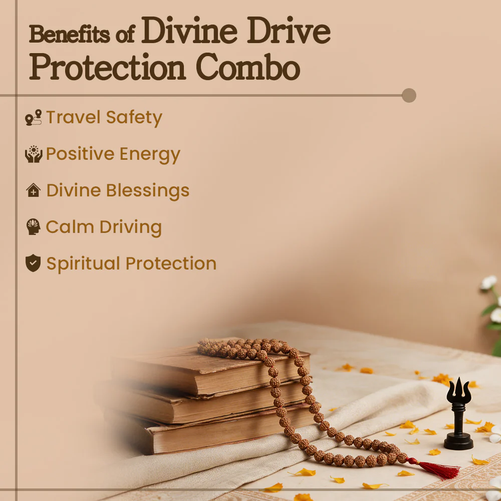 Divine Drive Protection Combo Govt. Certified - Image 3