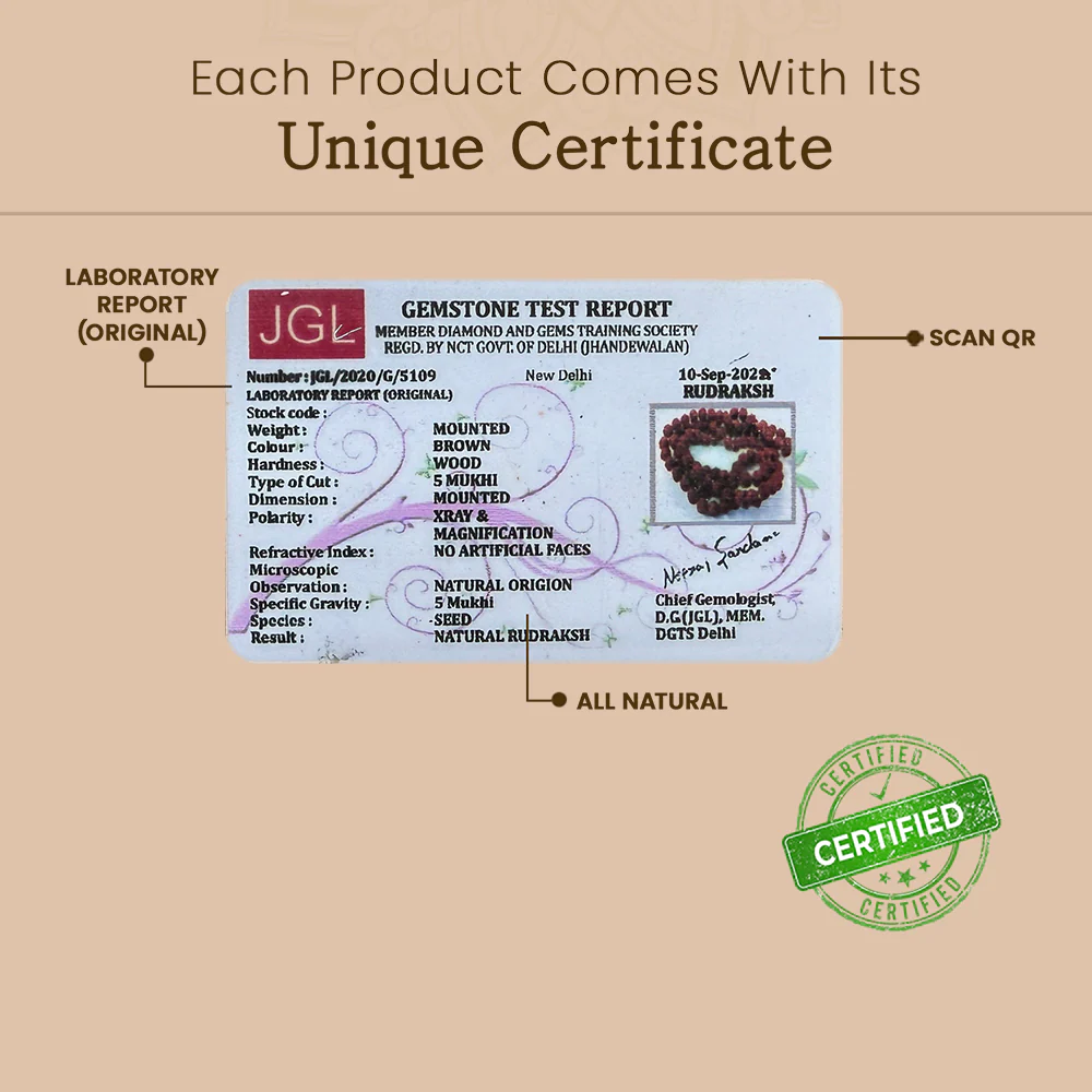 Divine Drive Protection Combo Govt. Certified - Image 6