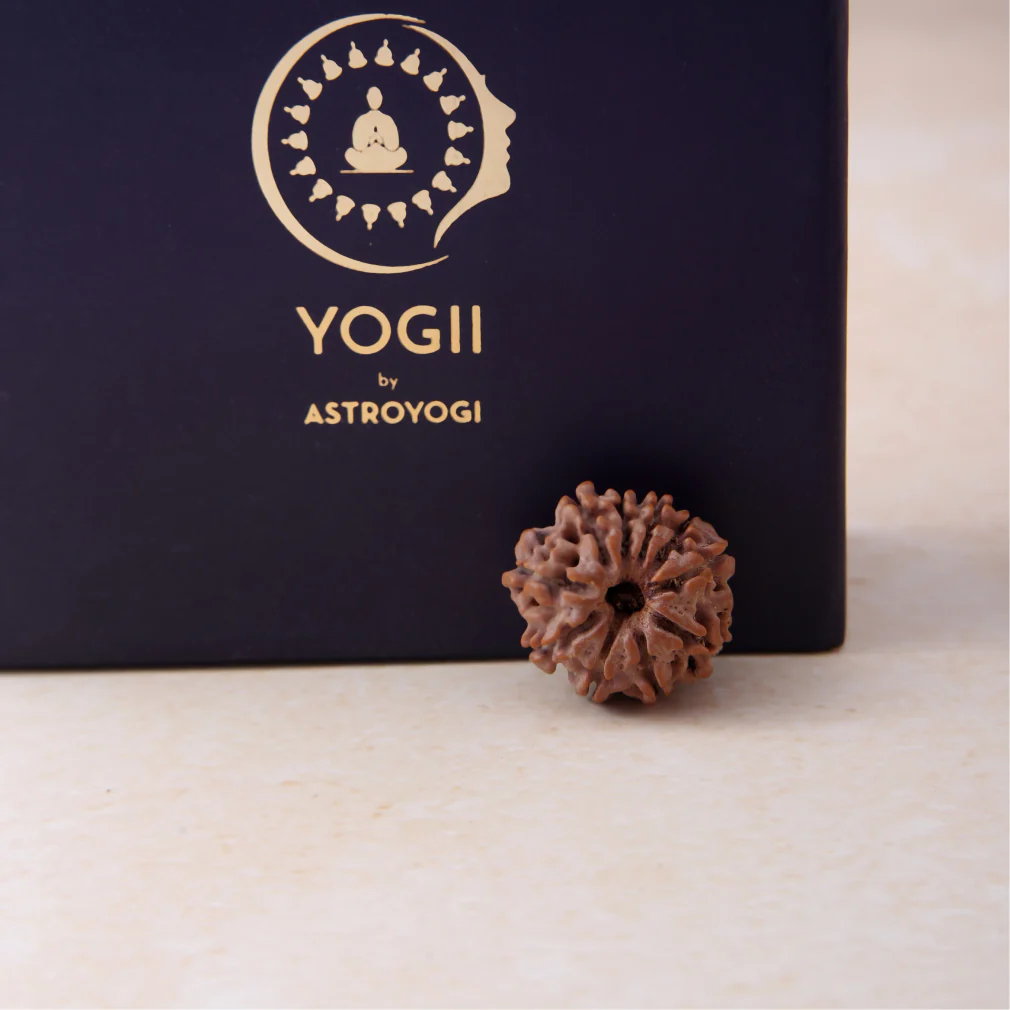 10 Mukhi Rudraksha - Image 4