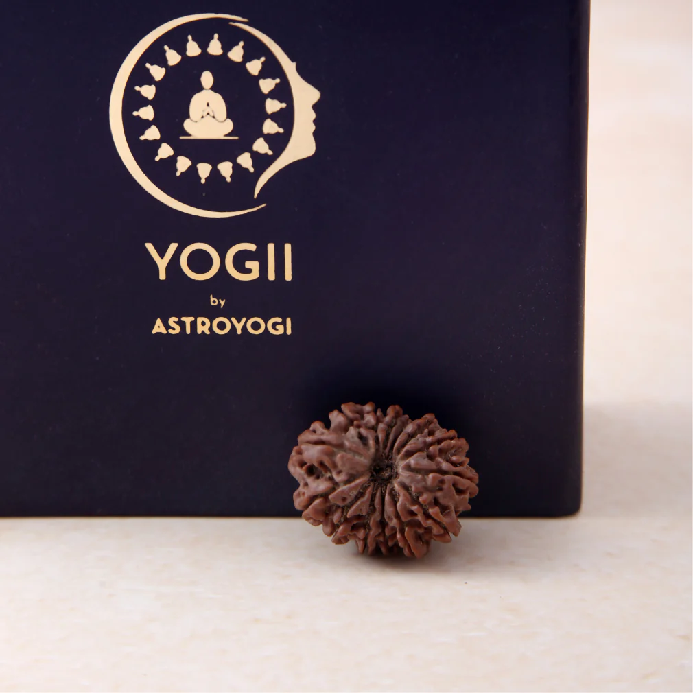 Siddh 14 Mukhi Rudraksha - Image 4