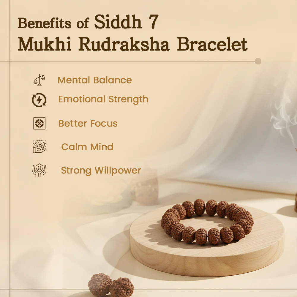 Siddh 7 Mukhi Rudraksha Bracelet - Image 3