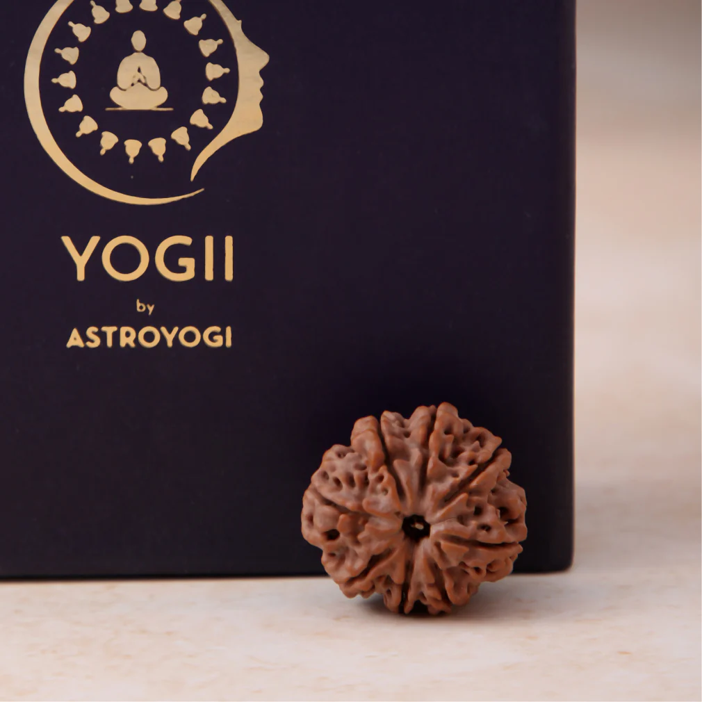 8 Mukhi Rudraksha - Image 4