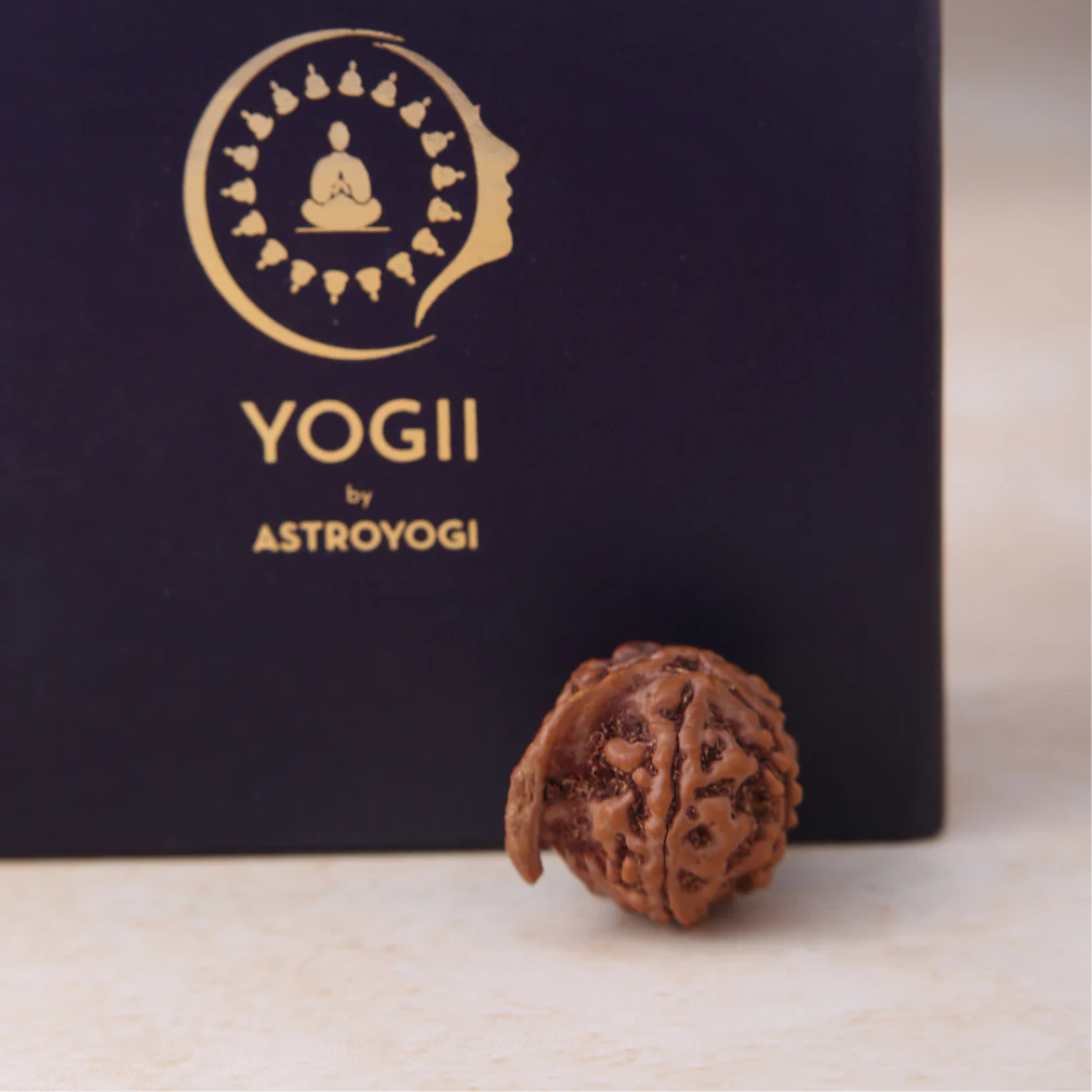 Siddh Ganesh Mukhi Rudraksha - Image 4