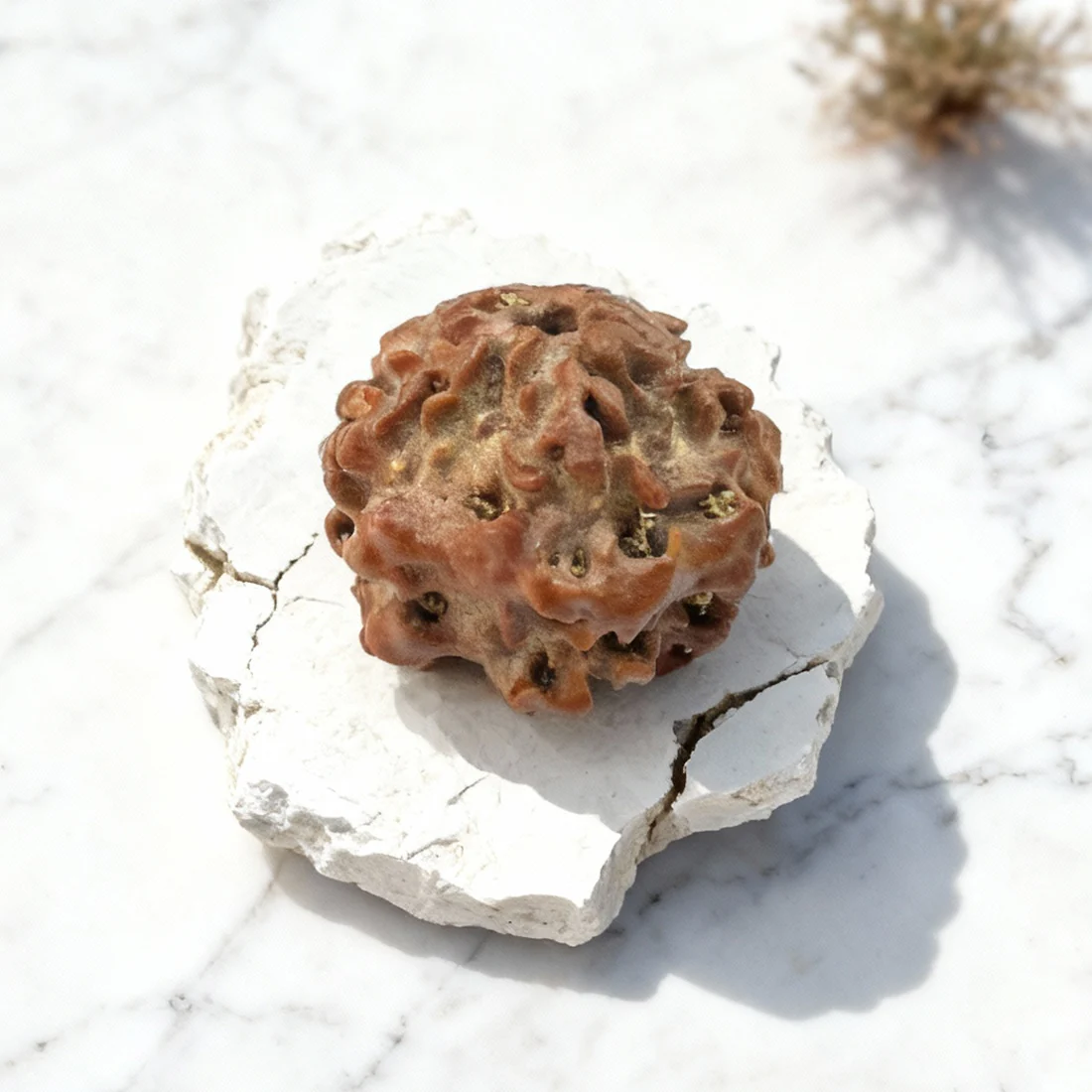 Nirakari Rudraksha - Image 2