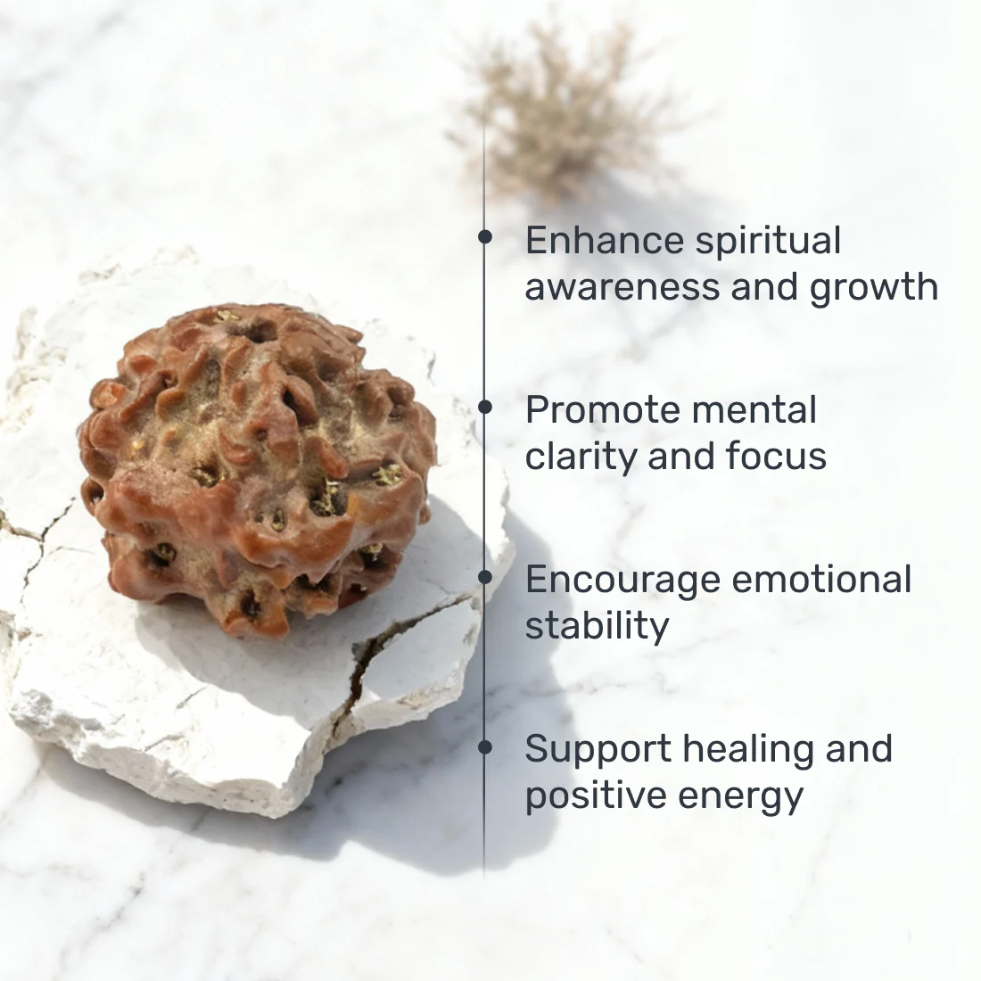 Nirakari Rudraksha - Image 4