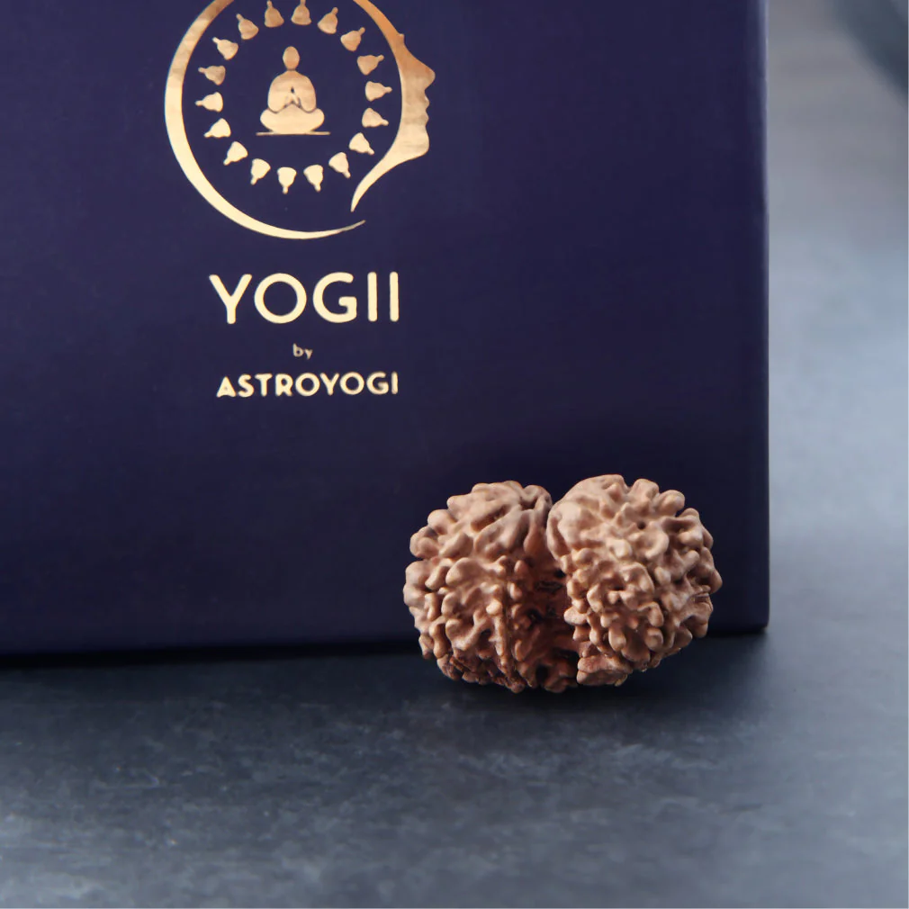 Nirakari Rudraksha - Image 6
