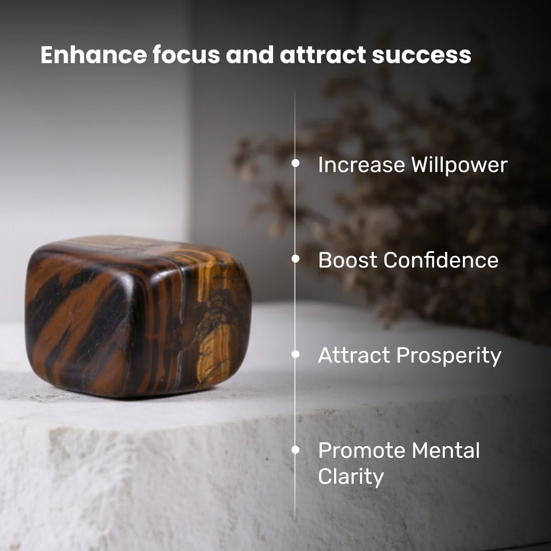 Tiger Eye Tumble - Image 3