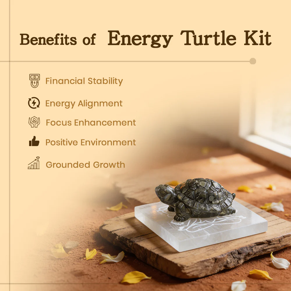 Energy Turtle Kit - Image 2