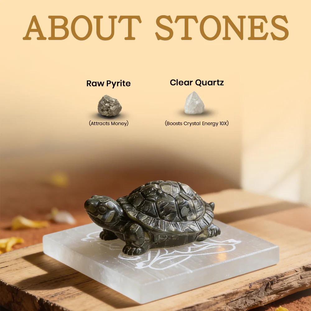 Energy Turtle Kit - Image 3