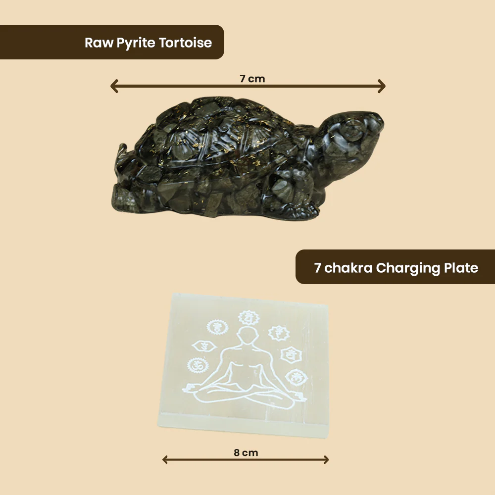 Energy Turtle Kit - Image 4