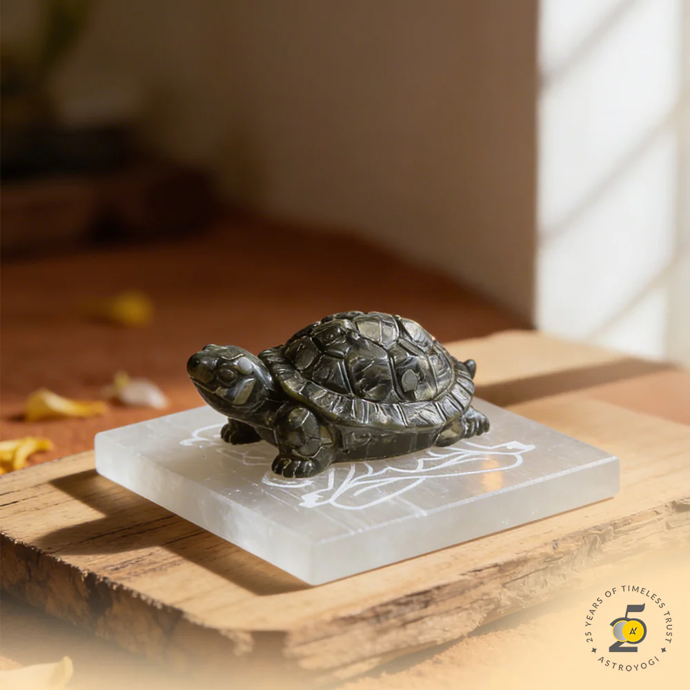 Energy Turtle Kit - Image 5