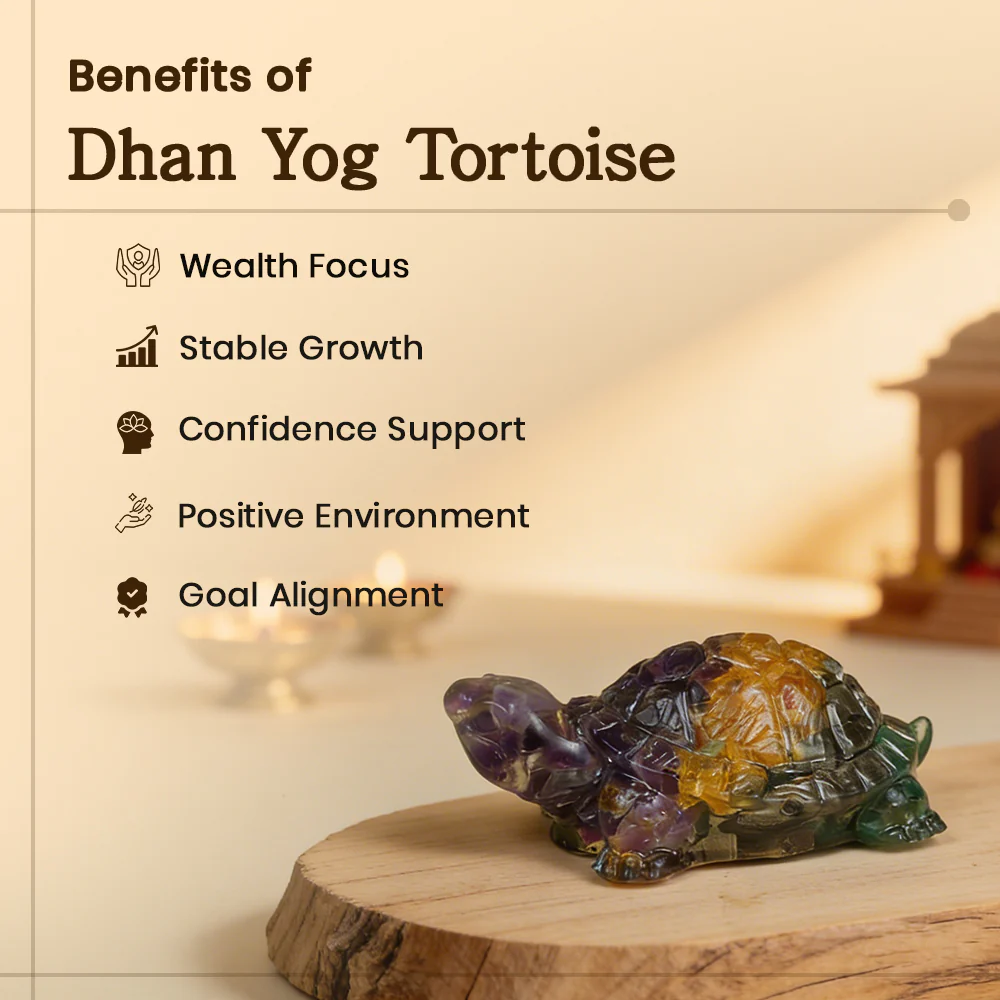 Vastu Dhan Yog Tortoise - Image 3
